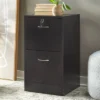 Wilson 2 Drawer Filing Cabinet - Buylateral -Buylateral GUEST f634b1b7 9d09 4518 8987 8ff83967a748